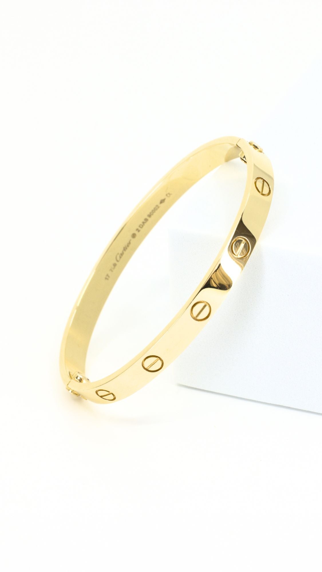Love Bangle Double Screw 16"