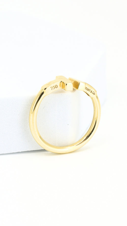 Double-T Ring 6"
