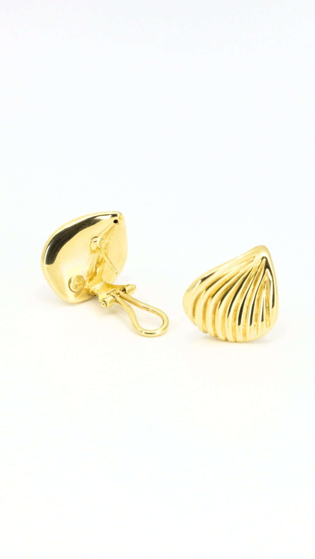 Shell Sculpt Earrings