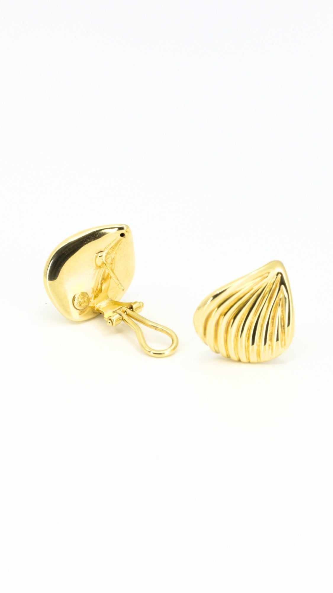 Shell Sculpt Earrings