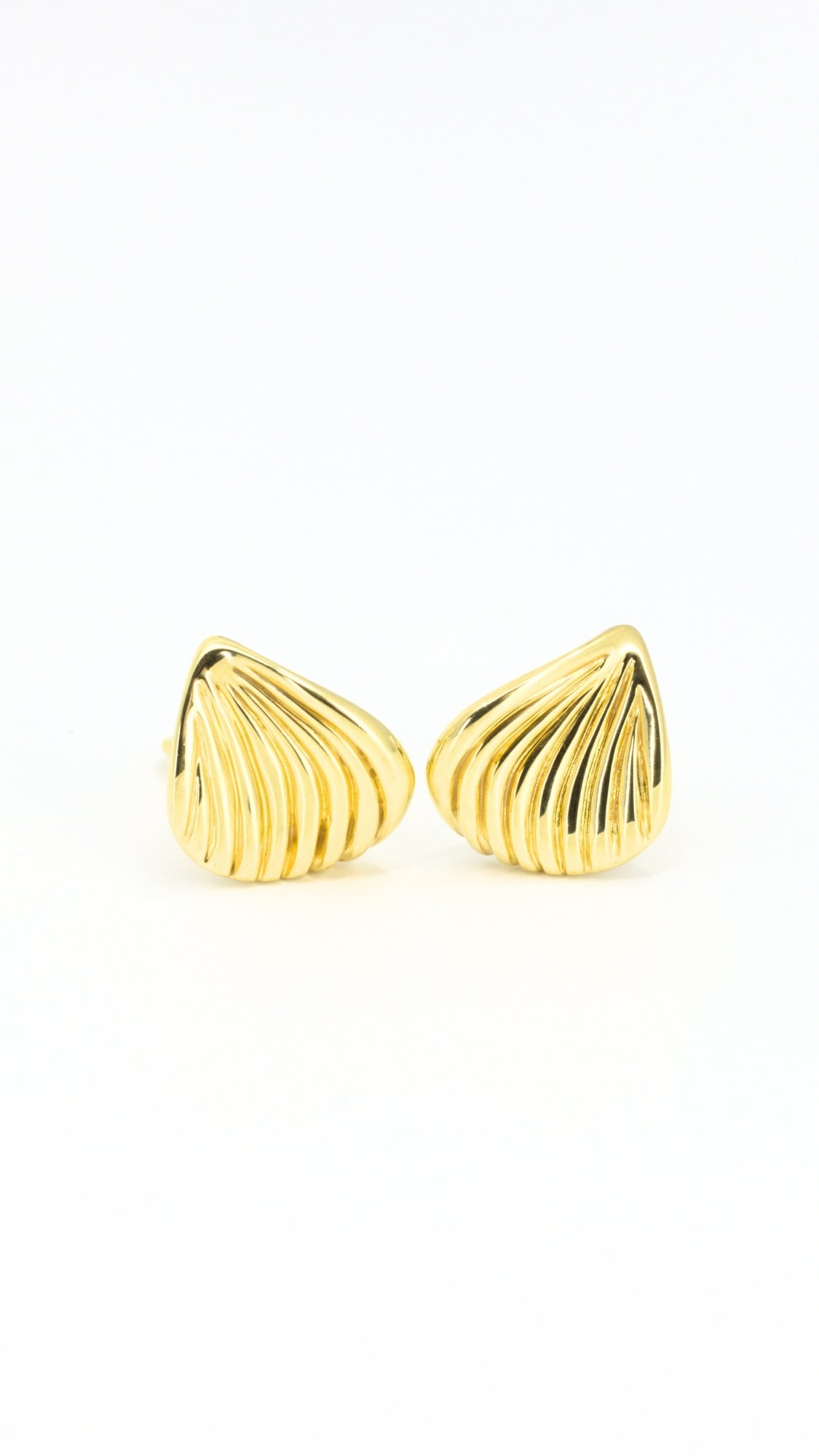 Shell Sculpt Earrings
