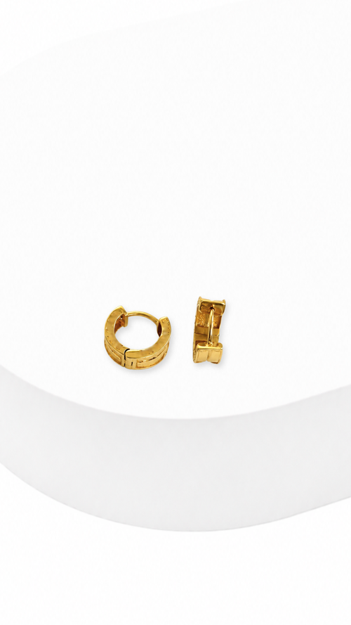 Horseshoe Hoop Earrings