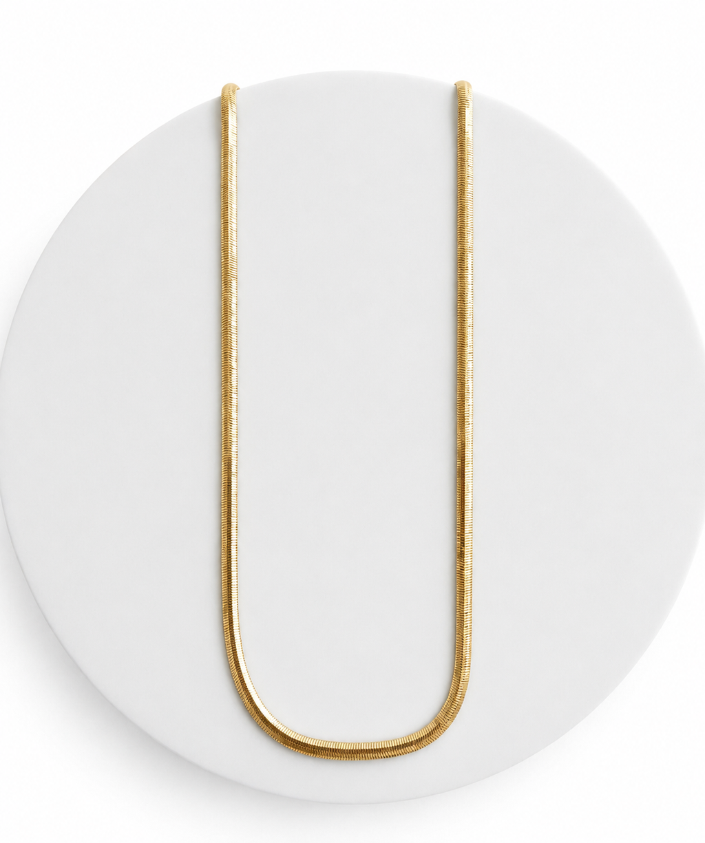 Fishbone Chain Necklace 18"