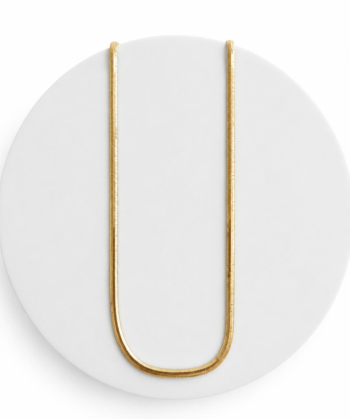 Fishbone Chain Necklace 18"