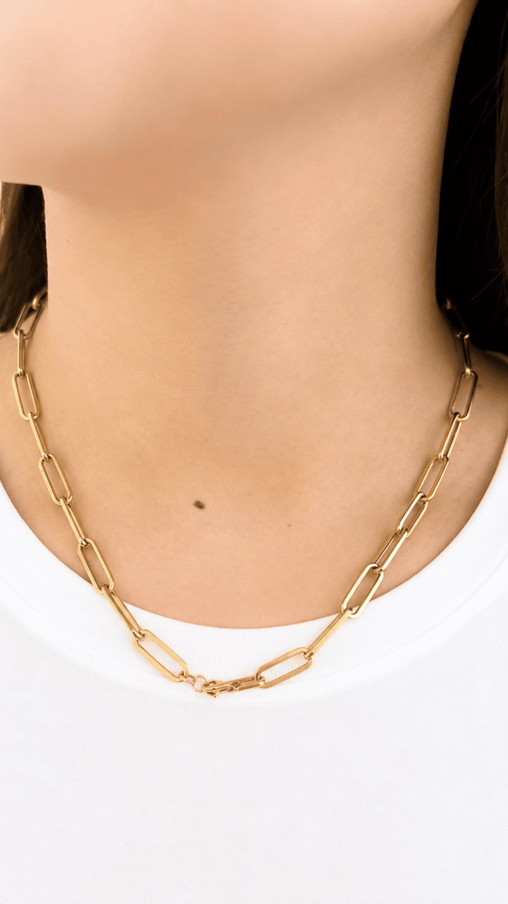 T Lock Necklace Two Tone 18"