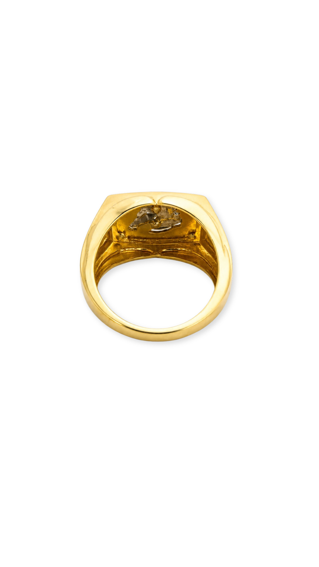 Horse Head Signet Ring Two-Tone - Size 9