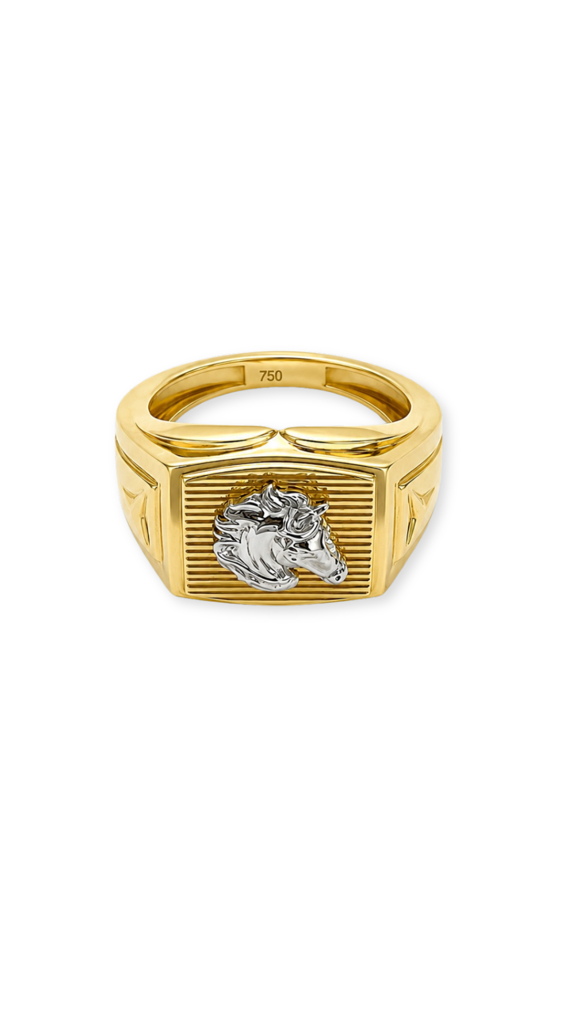 Horse Head Signet Ring Two-Tone - Size 9