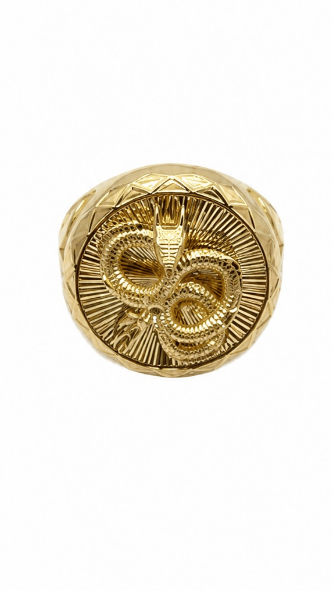 Serpent Sovereign Signet Ring 8.75"