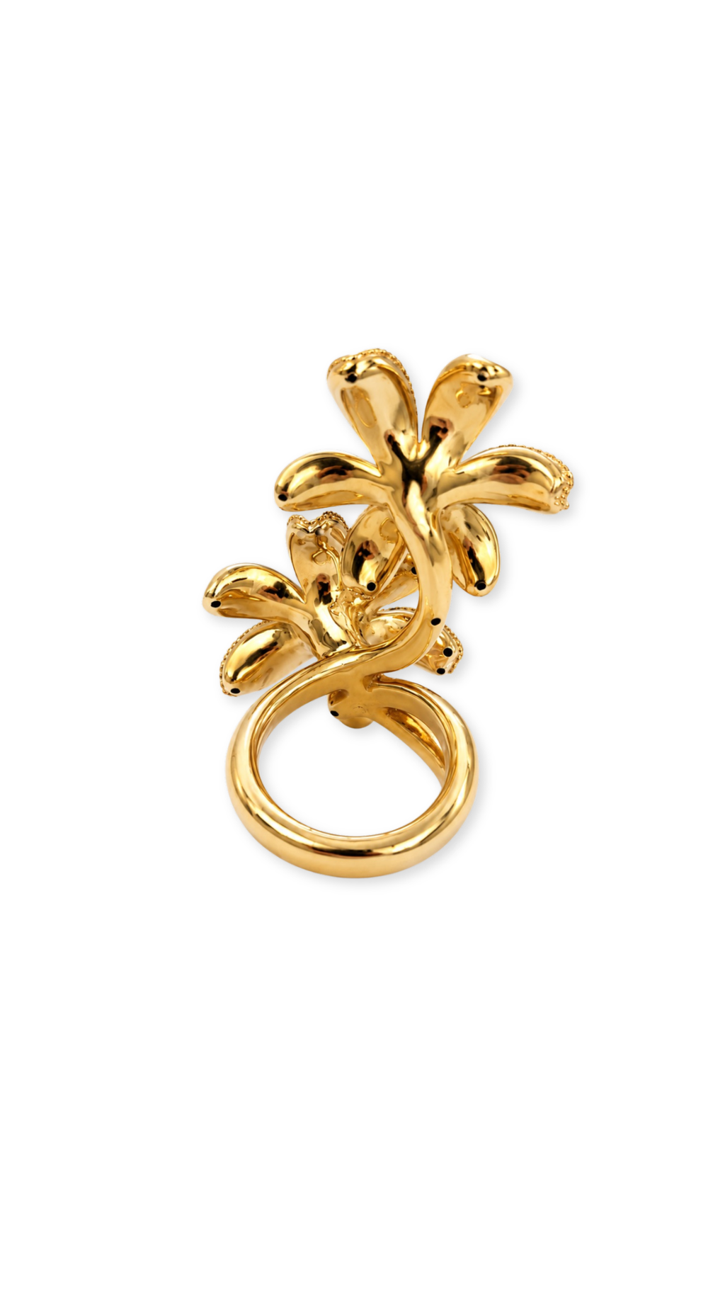 Double Flower Tricolor - Size 8