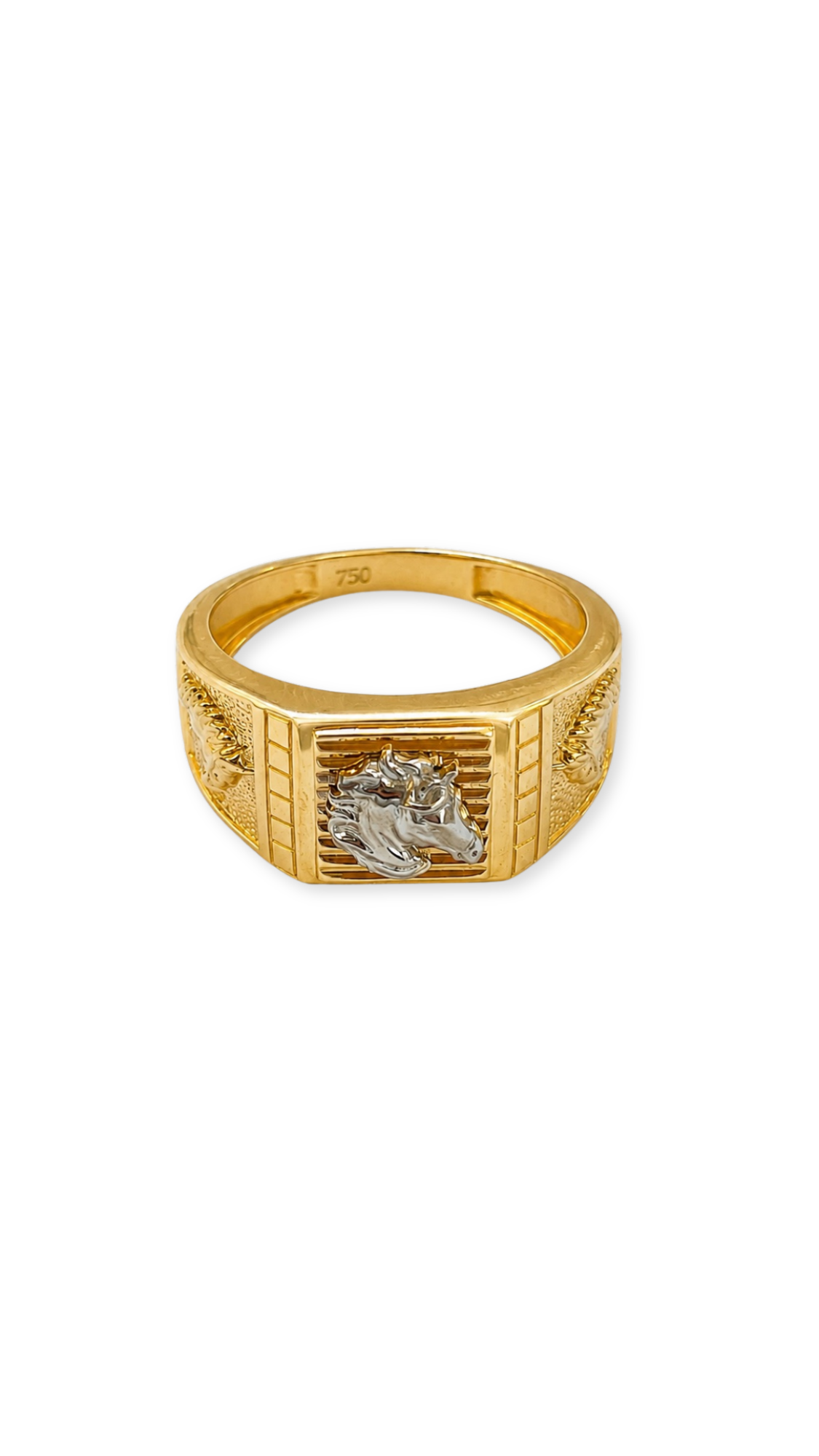 Horse Ring Two Tone - Size 10