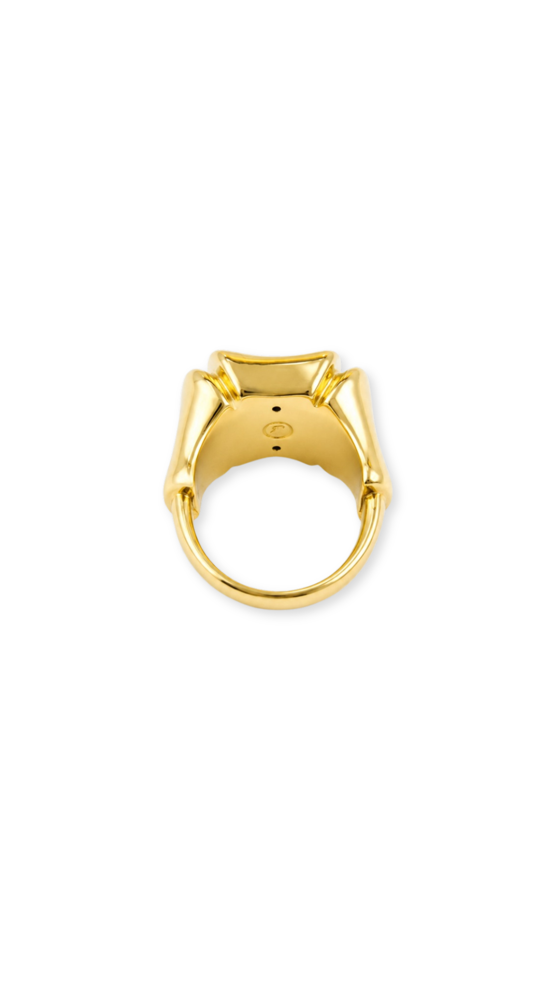Bamboo Bangle & Ring Matte & Glossy