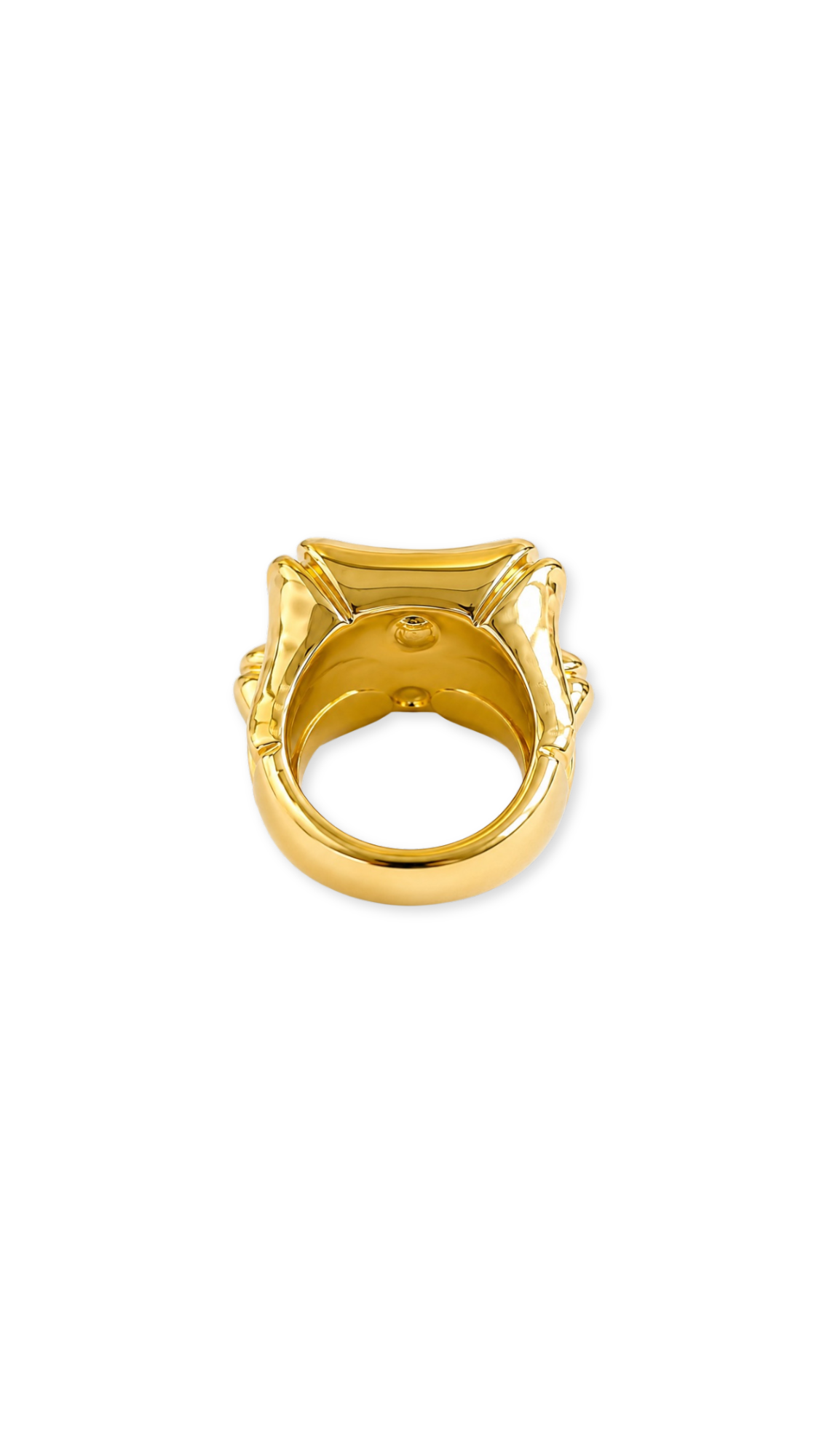 Bamboo Link Bangle & Ring Matte & Glossy
