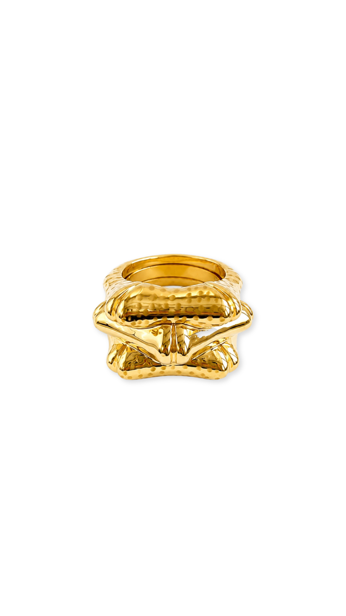 Bamboo Link Bangle & Ring Matte & Glossy
