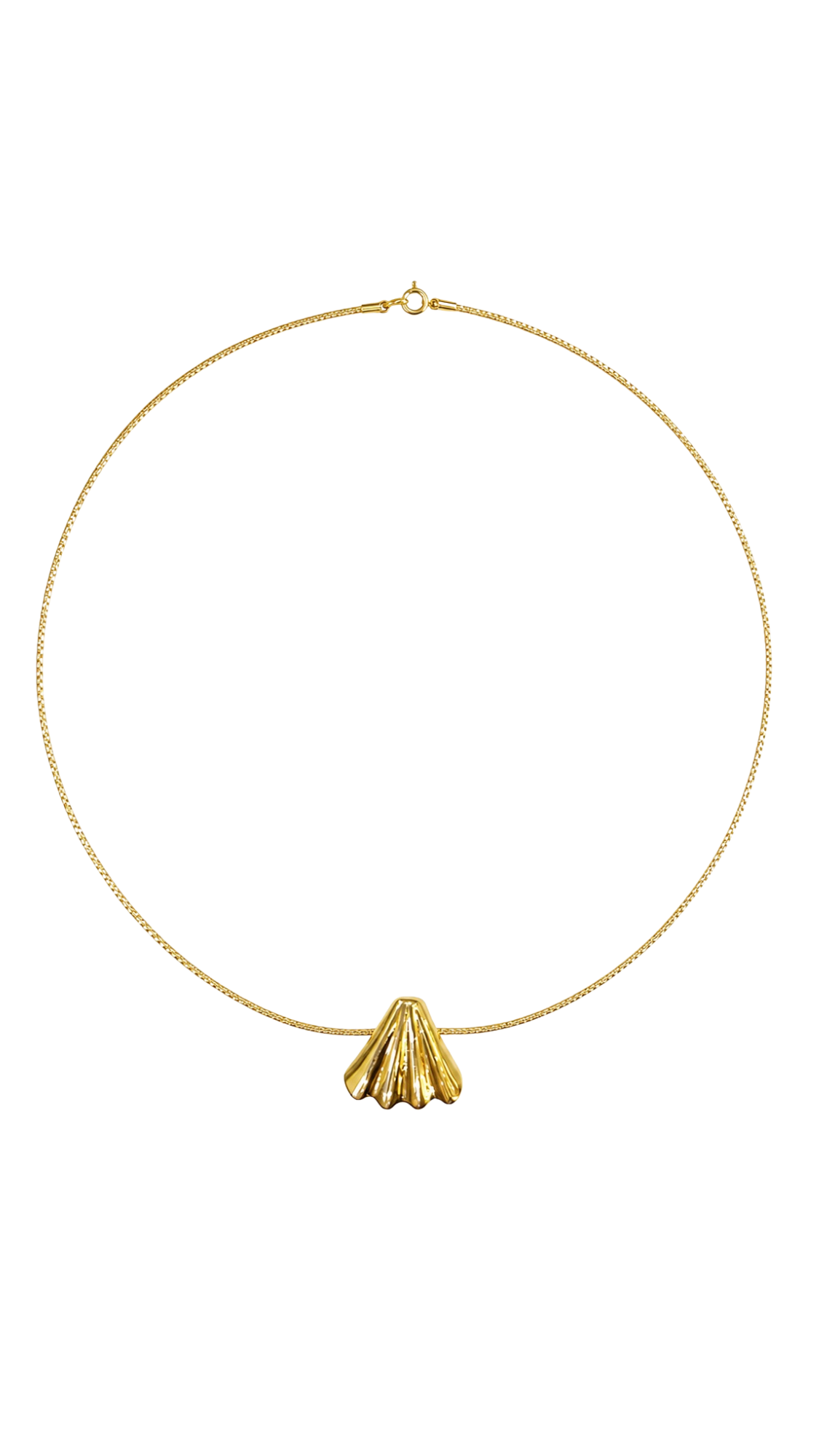 Solara Shell Attached Pendant Cord Necklace - Size 16